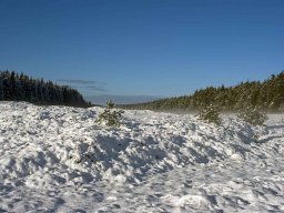 IMGP9454_Vinterstemning